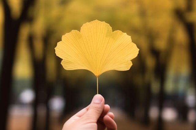 3 kiểu người amp;#34;đẳng cấpamp;#34; đứng sau những trang cá nhân trống trơn: Không phải cố ẩn mình, mà bởi nội tâm quá vững vàng - 3