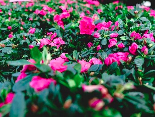 Người có nhiều phước lành, may mắn, nhìn cách ăn nói là biết - 3