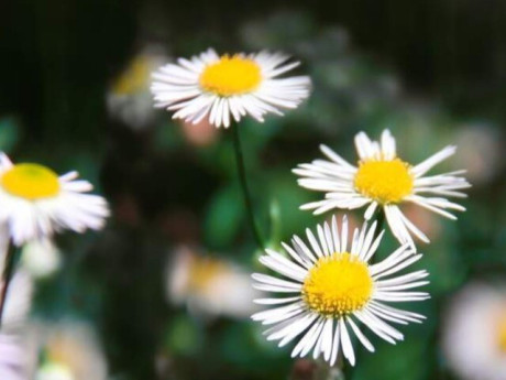 Vượt qua được điều này, bạn sẽ chiến thắng!