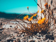 Quan hệ thân đến mấy, người khôn ngoan cũng không cho mượn 4 thứ này