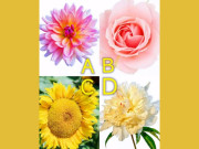 Eva tám - Trắc nghiệm tâm lý: Hậu vận bạn sẽ giàu có nhất ở điều gì?