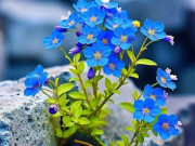 Eva tám - Việc thành nhờ kín kẽ: 5 điều tuyệt đối đừng nên thổ lộ với người ngoài