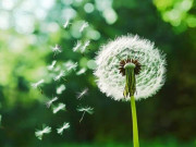 Eva tám - Người có phẩm chất kém thường "cửa miệng" 3 câu này: Gặp phải chớ kết thân