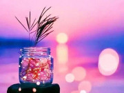 Eva tám - Khi thuận lợi hãy giúp người, lúc khó khăn hãy tu tâm, khi mông lung hãy tự cứu lấy mình