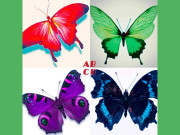 Eva tám - Trắc nghiệm tâm lý: Bạn ấn tượng với chú bướm nào nhất?