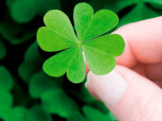 Eva tám - Trắc nghiệm: Bạn có sở hữu những dấu hiệu của "người may mắn”?