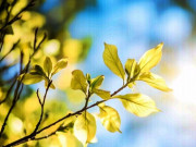 Eva tám - Cách đúng nhất để thoát khỏi cảnh nghèo: Hãy làm ngược lại với số đông