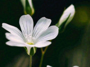 Eva tám - Cách khôn ngoan để tạo dựng mối quan hệ tốt không phải mời ăn hay nịnh hót, mà là 3 điều này