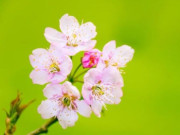Một người có trân trọng bạn hay không, chỉ cần nhìn chi tiết này là đủ