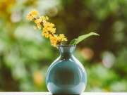 Eva tám - Quan hệ thân đến mấy cũng chớ làm 2 điều với người nhà: Không phải vô tâm mà là rất khôn ngoan!