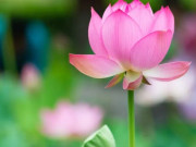 Eva tám - Người có khí chất cao sang, thoáng nhìn là biết