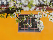 Eva tám - Hai người thực sự dẫn dắt bạn trong đời: Một người sưởi ấm, một người thức tỉnh