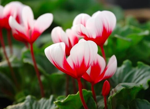 Mọi mối quan hệ tan vỡ thực chất đều bắt đầu từ 6 chữ này - 3