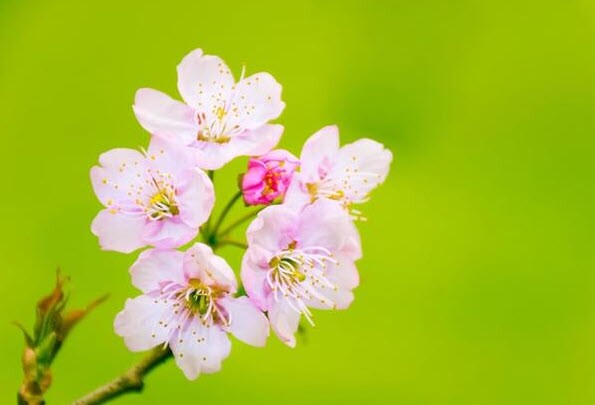 Một người có trân trọng bạn hay không, chỉ cần nhìn chi tiết này là đủ - 3