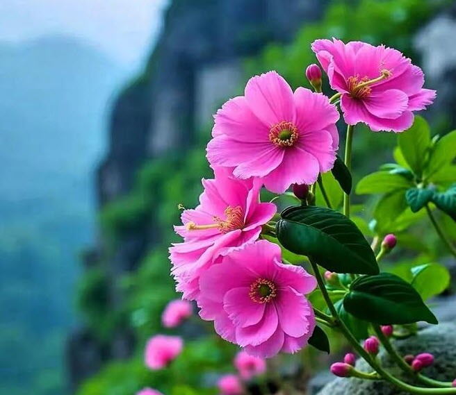 Nhà sạch thì phước tới: 3 kiểu người thích dọn dẹp nhà cửa gọn gàng, cuộc đời dễ gặp may mắn - 3