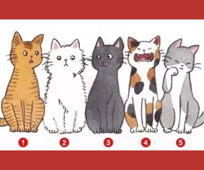 Trắc nghiệm tâm lý: Bạn thấy chú mèo nào đáng yêu nhất? - 1