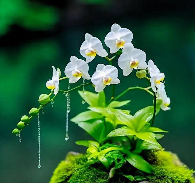 Việc thành nhờ kín kẽ: 5 điều tuyệt đối đừng nên thổ lộ với người ngoài - 3