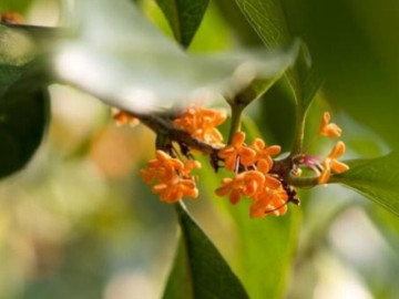 3 cách khéo léo từ chối cho vay tiền, người cả nể nhất cũng làm được