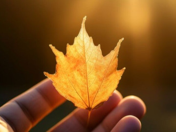 3 kiểu người "đẳng cấp" đứng sau những trang cá nhân trống trơn: Không phải cố ẩn mình, mà bởi nội tâm quá vững vàng