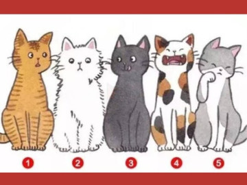 Trắc nghiệm tâm lý: Bạn thấy chú mèo nào đáng yêu nhất?