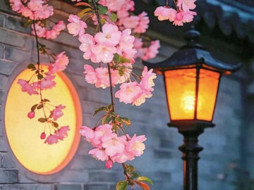 Eva tám - Người có phúc thường thiếu 3 thứ này: Càng ít tính toán, cuộc đời càng nở hoa