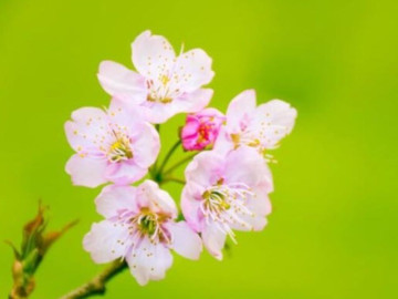 Một người có trân trọng bạn hay không, chỉ cần nhìn chi tiết này là đủ