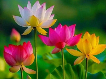 Nhà sạch thì phước tới: 3 kiểu người thích dọn dẹp nhà cửa gọn gàng, cuộc đời dễ gặp may mắn