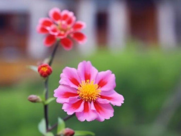 Người có tâm trạng tốt, phước báu tự khắc sâu dày