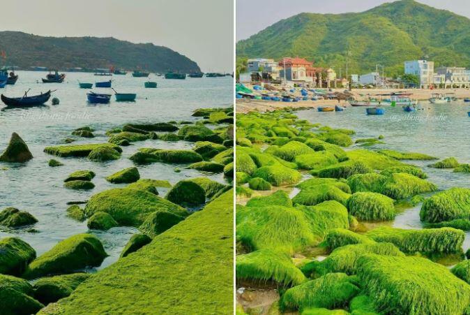 Làng chài tuyệt đối điện ảnh hút triệu view ở Quy Nhơn, đi mùa nào đẹp nhất? 19 Nhơn Hải đang vào mùa rêu xanh, thời tiết nắng đẹp. Ảnh: Gà Bông Foodie