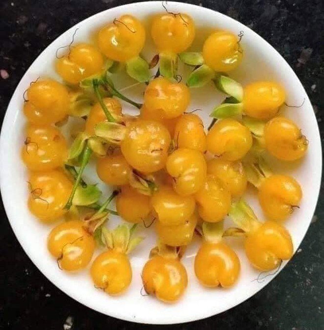 Duối chín có vị ngọt ngon và mang hương vị thơm nhè nhẹ