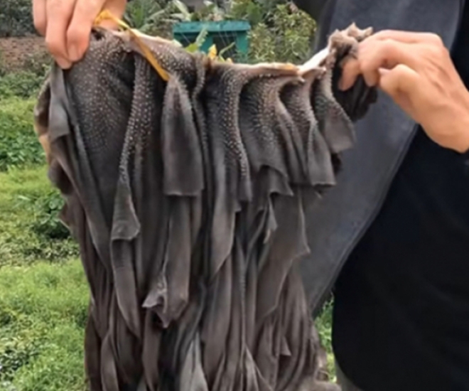 Bộ phận đen xì trong nội tạng con bò lại trở thành đặc sản, chắc hẳn ai cũng từng thưởng thức một lần