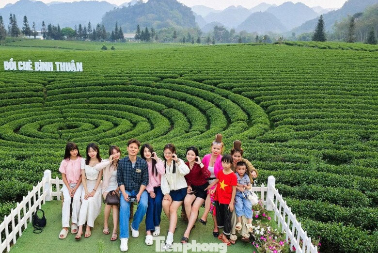 Du khách đến đây không chỉ được tham quan, chụp ảnh mà còn trực tiếp trải nghiệm hái chè, chế biến chè và khám phá đời sống văn hóa bản địa.