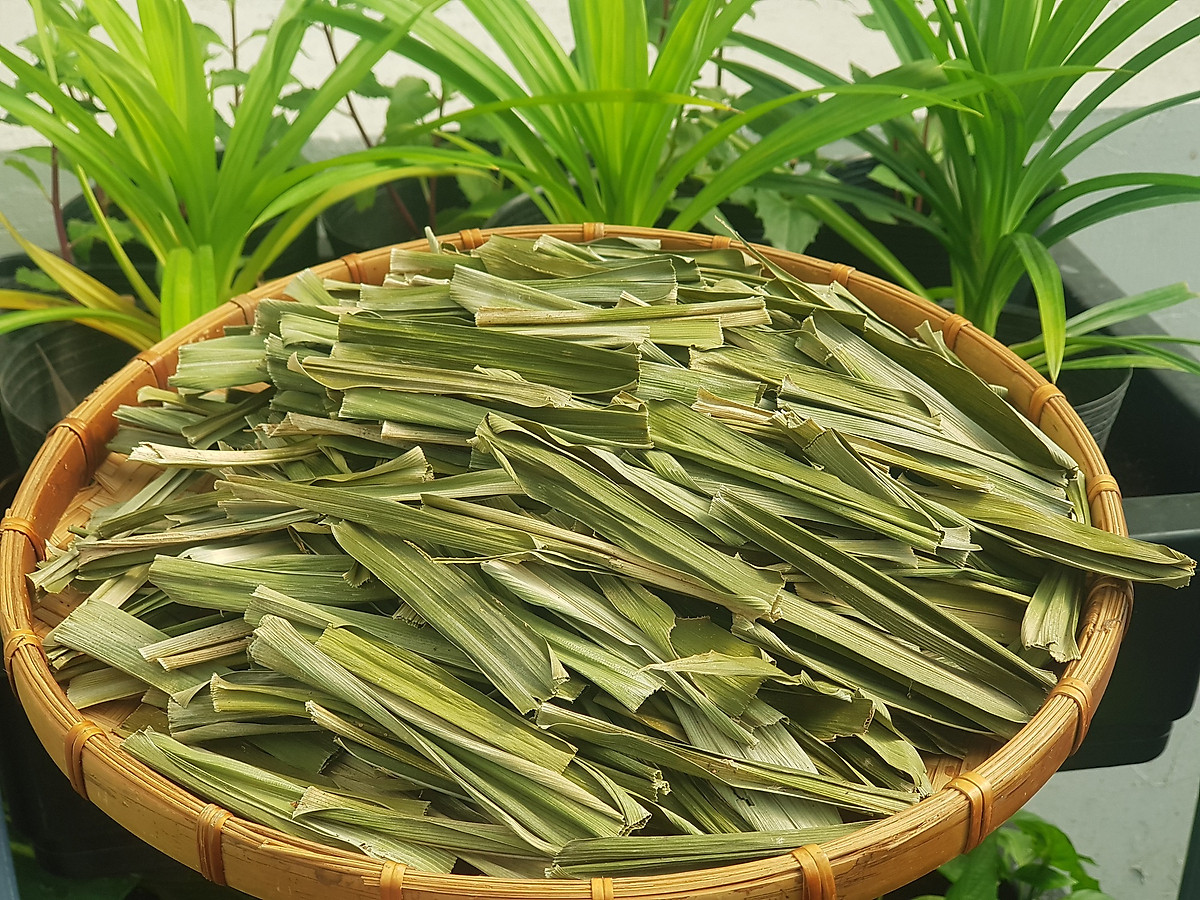 Lá dứa khô còn được dùng để chữa một số bệnh