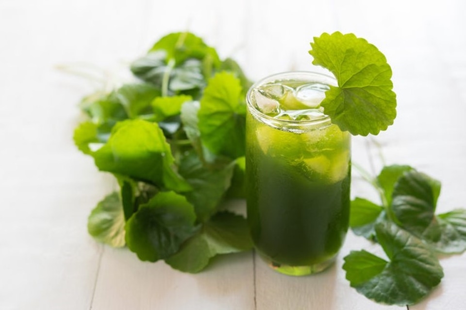 Nghề lạ ở Việt Nam: Trồng loại rau mọc dại bờ mương, người nông dân bỏ ...