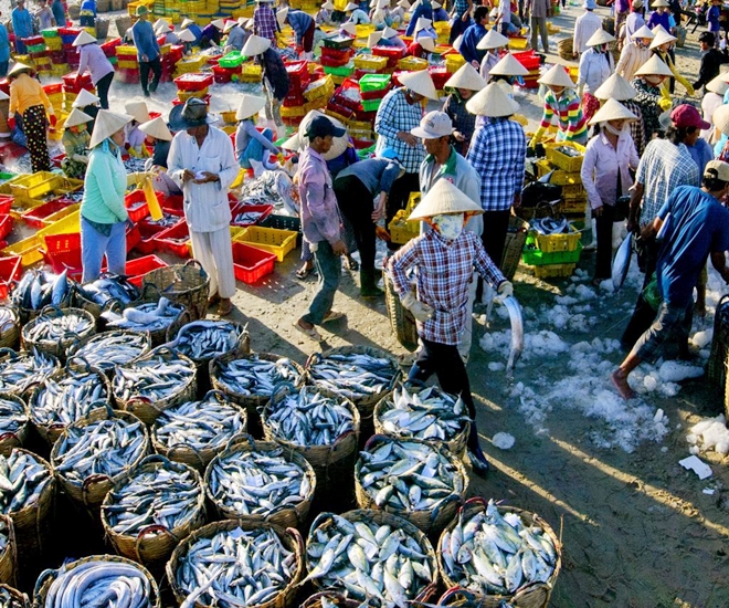 Chợ Bến Đình là khu chợ hải sản tươi ngon, giá cả phải chăng, lúc nào cũng tấp nập người mua bán
