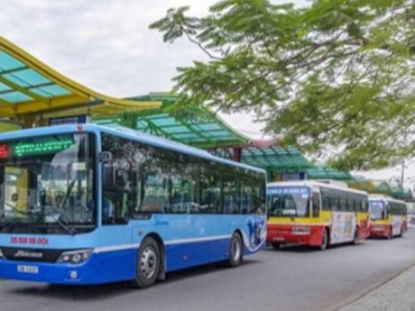 TPHCM đề xuất 3 phương án miễn phí vé xe buýt