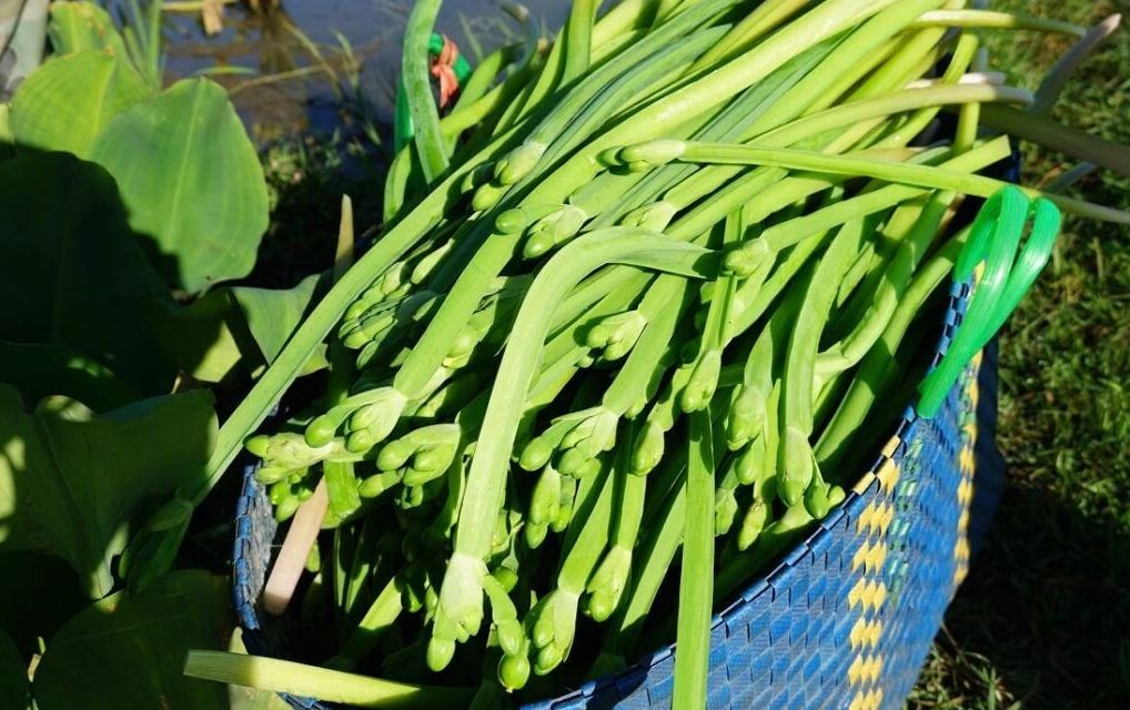 Kèo nèo là đặc sản vừa đẹp vừa ngon