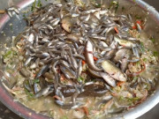 Lifestyle - Thứ xưa ít ai biết nay thành đặc sản có hương vị độc lạ, muốn ăn nhất định phải đến đây