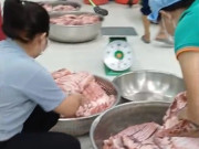 Tin tức - TPHCM: 2 trường ngưng bữa ăn bán trú sau vụ ngộ độc tại trường Bình Quới Tây