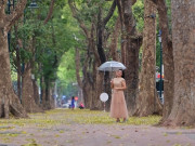 Lifestyle - Phố Hà Nội đẹp dịu dàng mùa sấu rụng lá