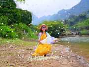 Lifestyle - Du khách đổ xô vào rừng "săn bướm", check-in cùng cây ráy "khổng lồ" ở Ninh Bình