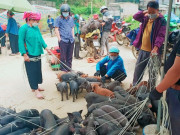 Lifestyle - Phiên chợ độc nhất ở Lào Cai nằm giữa “lưng trời”, bán toàn đồ lạ khó nơi nào có
