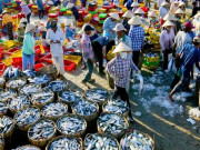 Lifestyle - Người sành ăn mới biết khu chợ hải sản rẻ nhất nhì TP.HCM này, là "thiên đường ẩm thực" tồn tại hơn 40 năm