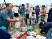 Lifestyle - Du khách thích thú mua hải sản tươi rói ở làng chài ven biển Sầm Sơn