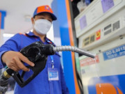 Tin tức - Giá xăng dầu hôm nay 20/5: Tăng, giảm trái chiều