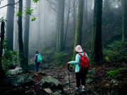 Lifestyle - “Yếu bóng vía” là gì và vì sao một số người dễ “bị dọa” khi đi rừng, leo núi?