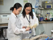 Tin tức - Chi tiết ngành học được cấp học bổng đến 8,4 triệu đồng/tháng
