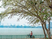 Tin tức - Cơ quan khí tượng nói về đợt không khí mát sắp tràn về miền Bắc
