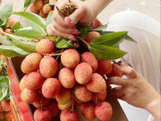 Tiêu dùng - Chưa từng có: 300.000 đồng/kg vải thiều tại vườn