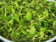 Sức khỏe - Vừa mát vừa giúp lợi tiểu, loại rau mọc hoang mùa hè này chế biến được nhiều món ngon cho ngày nắng nóng
